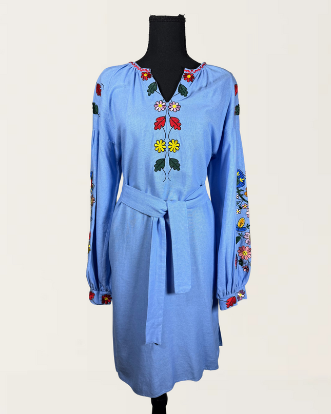 Blue dress with colorful embroidery