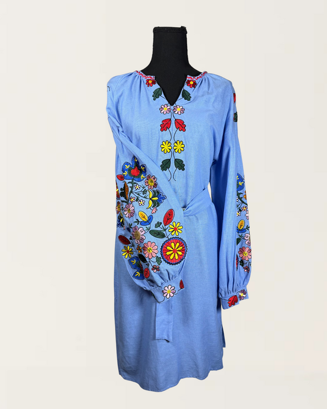 Blue dress with colorful embroidery